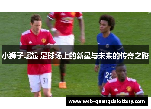 小狮子崛起 足球场上的新星与未来的传奇之路