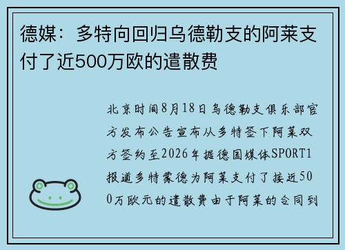 德媒：多特向回归乌德勒支的阿莱支付了近500万欧的遣散费